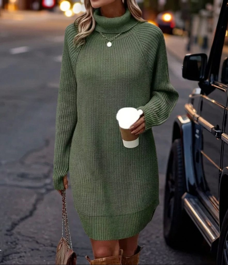 Women's Warm Ribbed Roll Neck Knit Dress