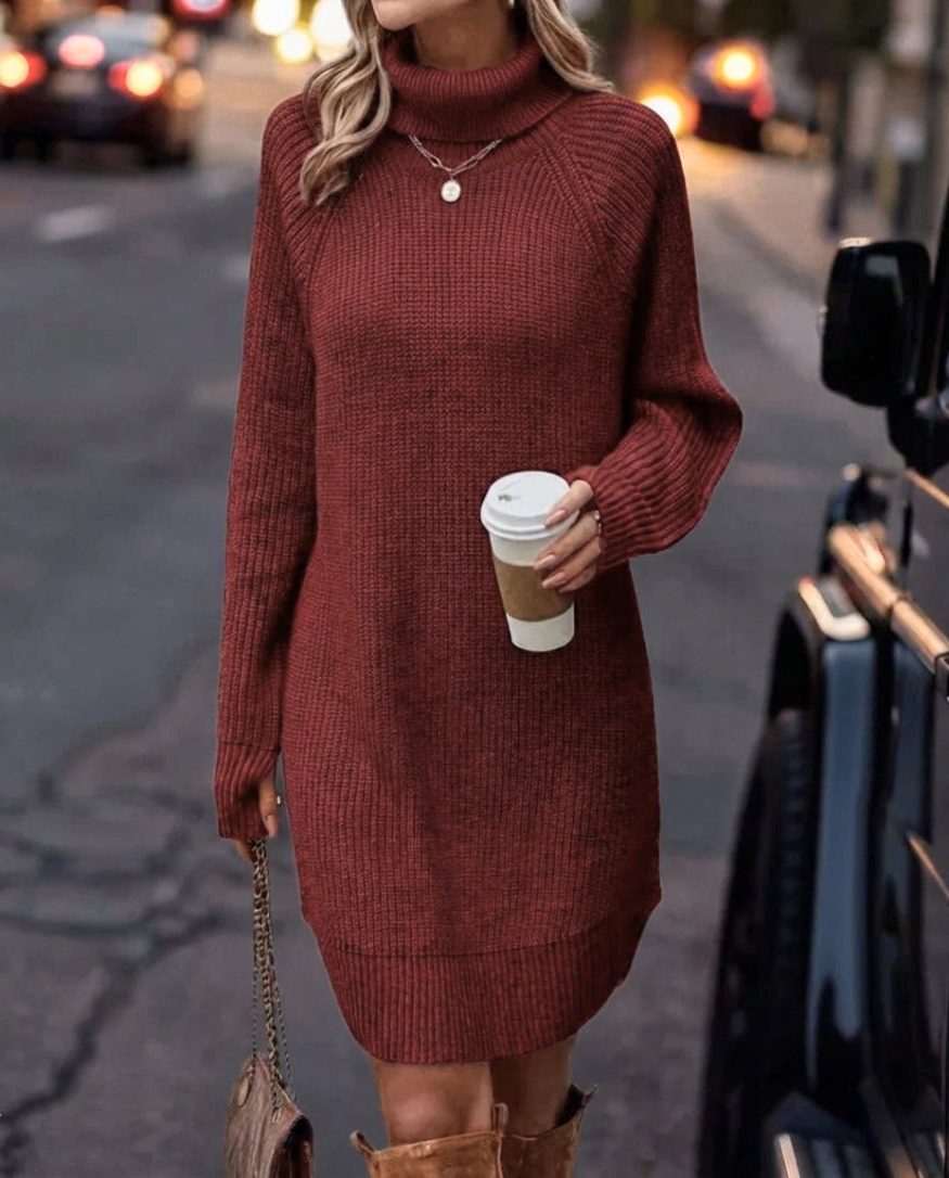 Women's Warm Ribbed Roll Neck Knit Dress