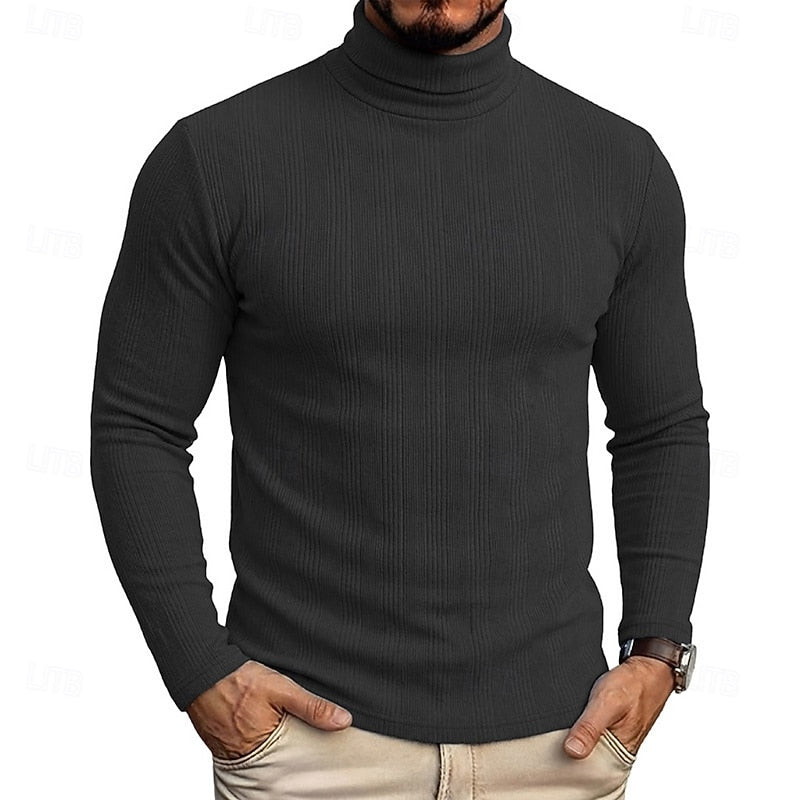 Men's Fitted Fine Rib High Neck Knit Sweater