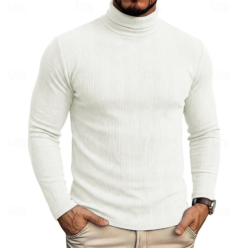 Men's Fitted Fine Rib High Neck Knit Sweater