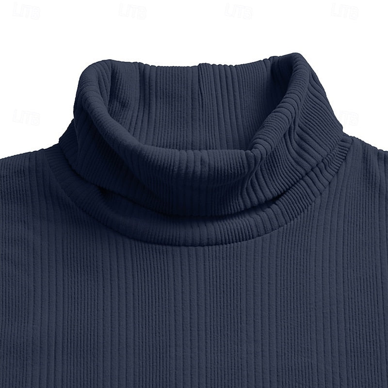 Men's Fitted Fine Rib High Neck Knit Sweater
