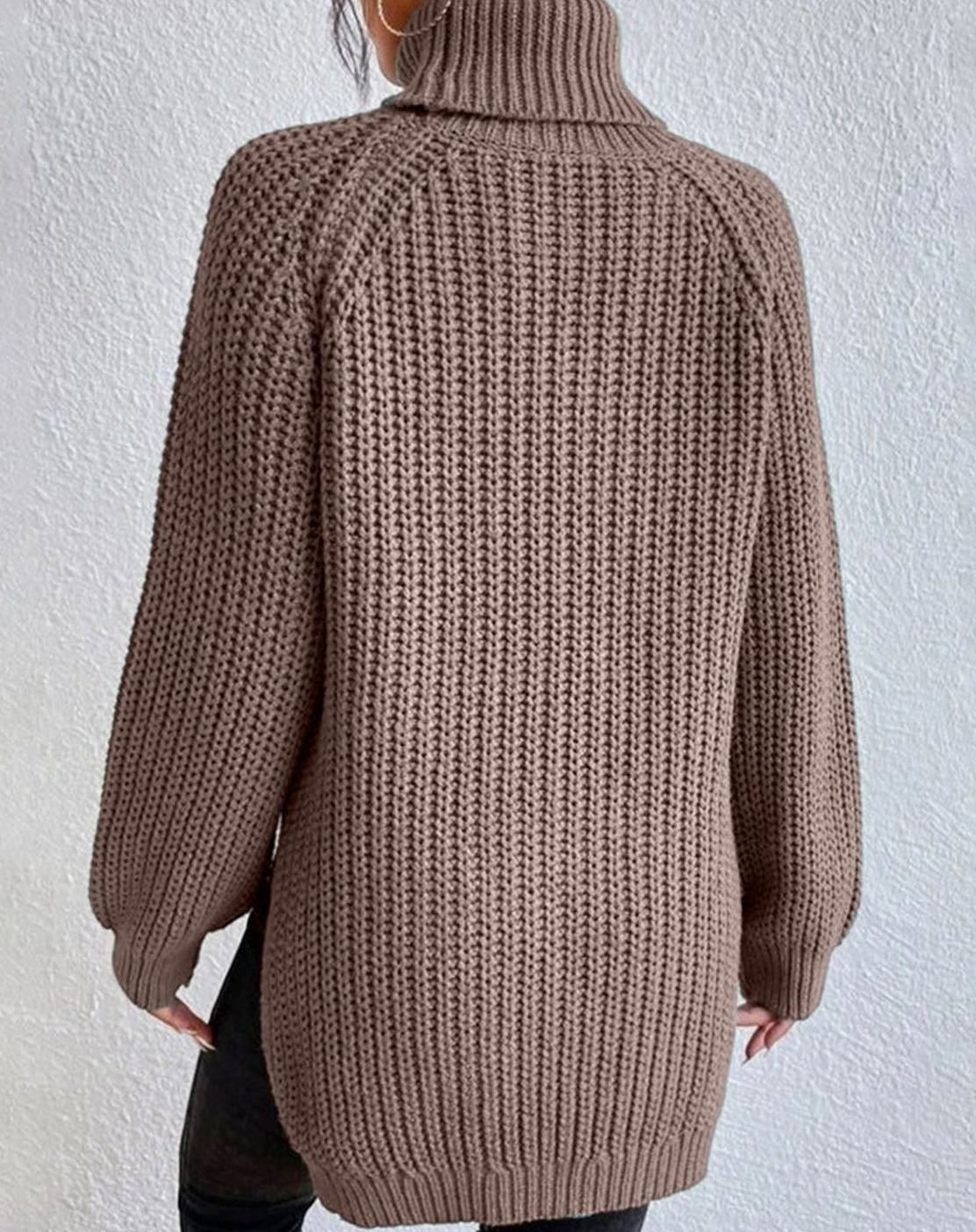 Women's Cozy Ribbed Roll Collar Chunky Knit Pullover