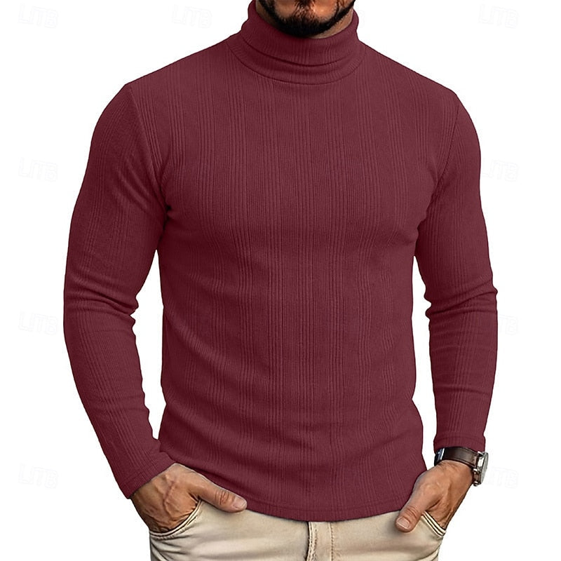 Men's Fitted Fine Rib High Neck Knit Sweater